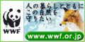 WWF ��t �����N