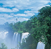 �u���W���̑�