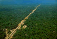 ���I�f�W���l�C��