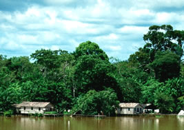 �A�}�]����