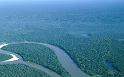 �A�}�]����