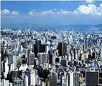 �T���p�E���̃r���Q