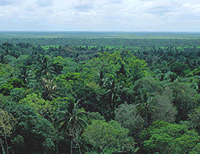 �u���W���̐X��