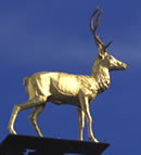 �����̃g�i�J�C��